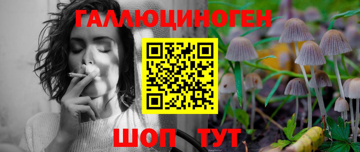 Тамбов  Галлюциногенные грибы мухоморы  Вход с VPN 